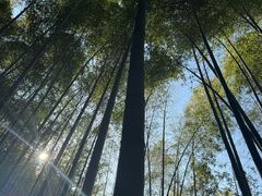 -苏州环秀晓筑养生度假村