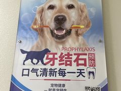 -宠颐生维康宠物医院(金丰店)