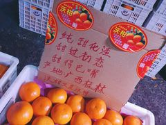 -菜园坝水果市场