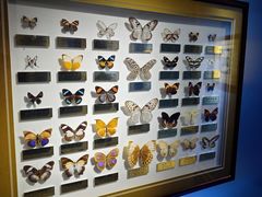 -上海昆虫博物馆