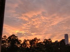 -谷莠子花艺·气球派对·绿植造景·花艺沙龙(金光华广场店)