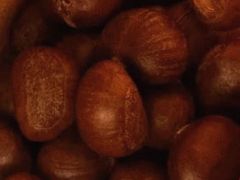 糖炒栗子-秋栗香(地安门店)
