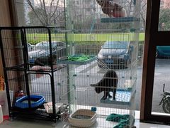 -瑞鹏宠物医院·内科·中兽医·骨科(苗圃店)