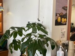 -LilBee Coffee