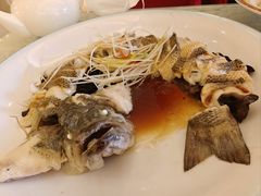 -博雅渔港·融合菜(维也纳国际大酒店)