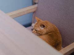 -默迹咖啡馆