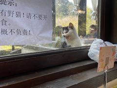 -素描餐厅(灵隐天竺店)