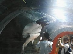 -绍兴梦享海洋公园