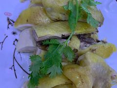 -全乐鱼馆·淳牌有机鱼直营店