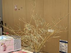 -木嘛working coffee&bar(碧道馆店)