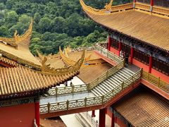 -东莞市大岭山森林公园