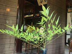 -常熟方塔园