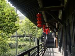-大唐贡茶院