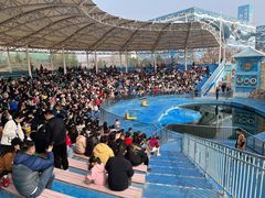 -华夏文旅海洋公园