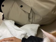 -美联众合动物医院·24h转诊中心