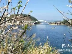 -广州市流溪河国家森林公园
