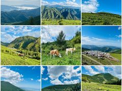 -五台山风景区