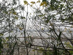 -艾溪湖湿地公园