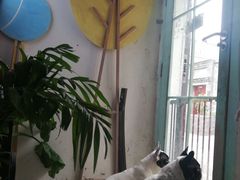 -小时光咖啡馆(北锣鼓巷店)