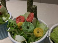 -藦茜花园宠物主题亲子互动体验馆(国顺东路店)