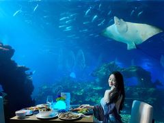-海棠湾洲际-涛·海底餐厅·美人鱼·自助餐·海底隧道