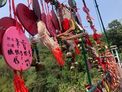-西双版纳原始森林公园