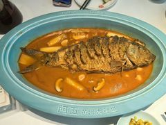 -阿五黄河大鲤鱼(英协路店)