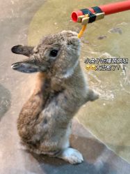 -Zoolung Zoolung动物主题公园(海信广场店)