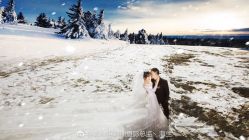 -维纳斯婚纱摄影(鞍山店)