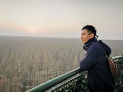 -黄海国家森林公园