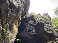 -梭布垭石林景区