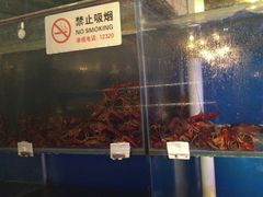 -小俩口烧烤东北菜(双井店)