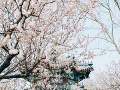 -颐和园