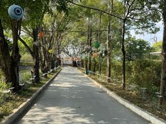 -光明农场大观园