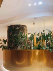 -本小姐美学·半永久纹眉野生眉