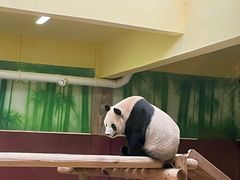 -杭州野生动物世界