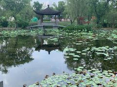 -武汉园博园(武汉自然博物馆)