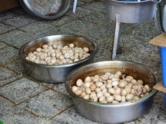 -金盆阿嬷香菇茶叶蛋(玄光店)