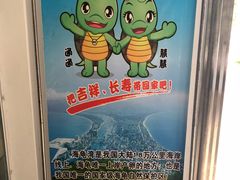 -广东惠东海龟国家级自然保护区
