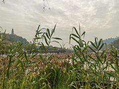 -渭南桃花源民俗文化园