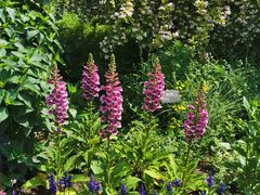 -国家植物园南园