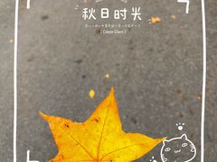 -北宫国家森林公园