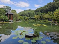 -云溪植物园