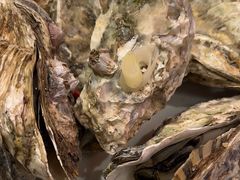 -杨氏青龙虾·羊蝎子(珠江路店)