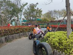 -季高兔窝窝亲子园(上海薰衣草公园店)