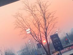 -威海大水泊国际机场