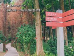 -广州市帽峰山景区