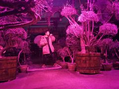 -呀路古热带植物园