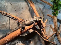 -Zoolung Zoolung动物主题公园(海信广场店)