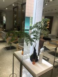 -菲·木田moontin造型salon